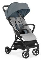 Hippo Grey
